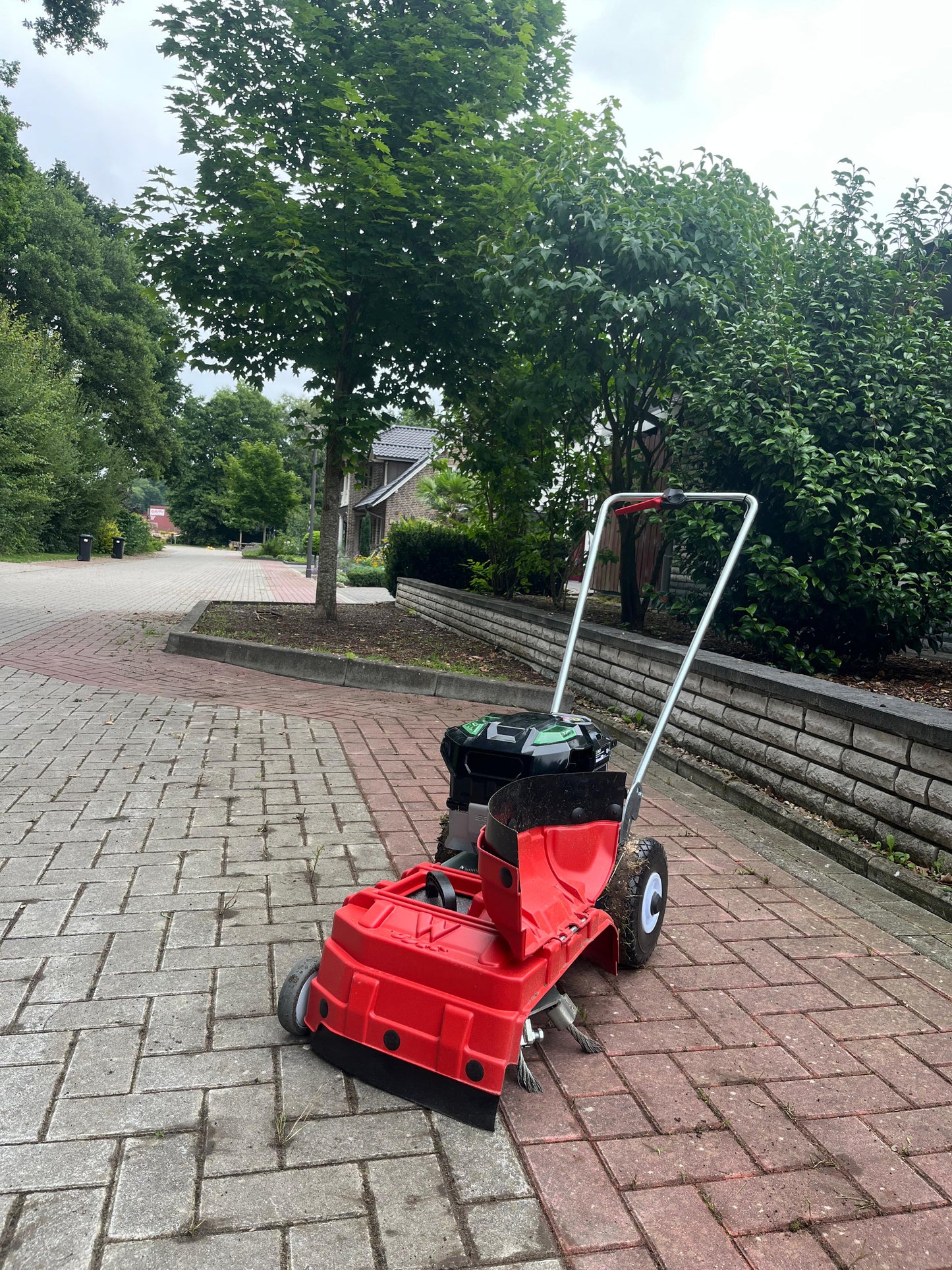 Westermann WKB 330 Weed Brush