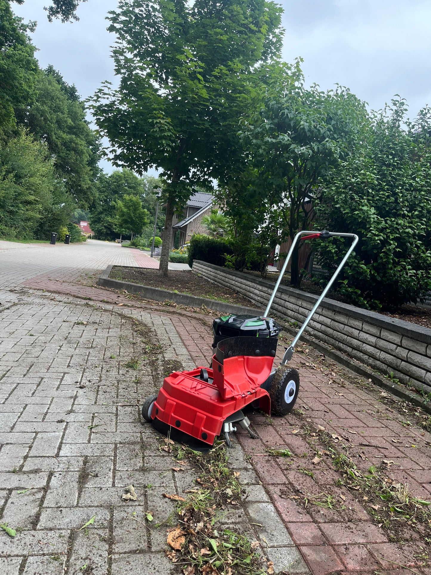 Westermann WKB 330 Weed Brush