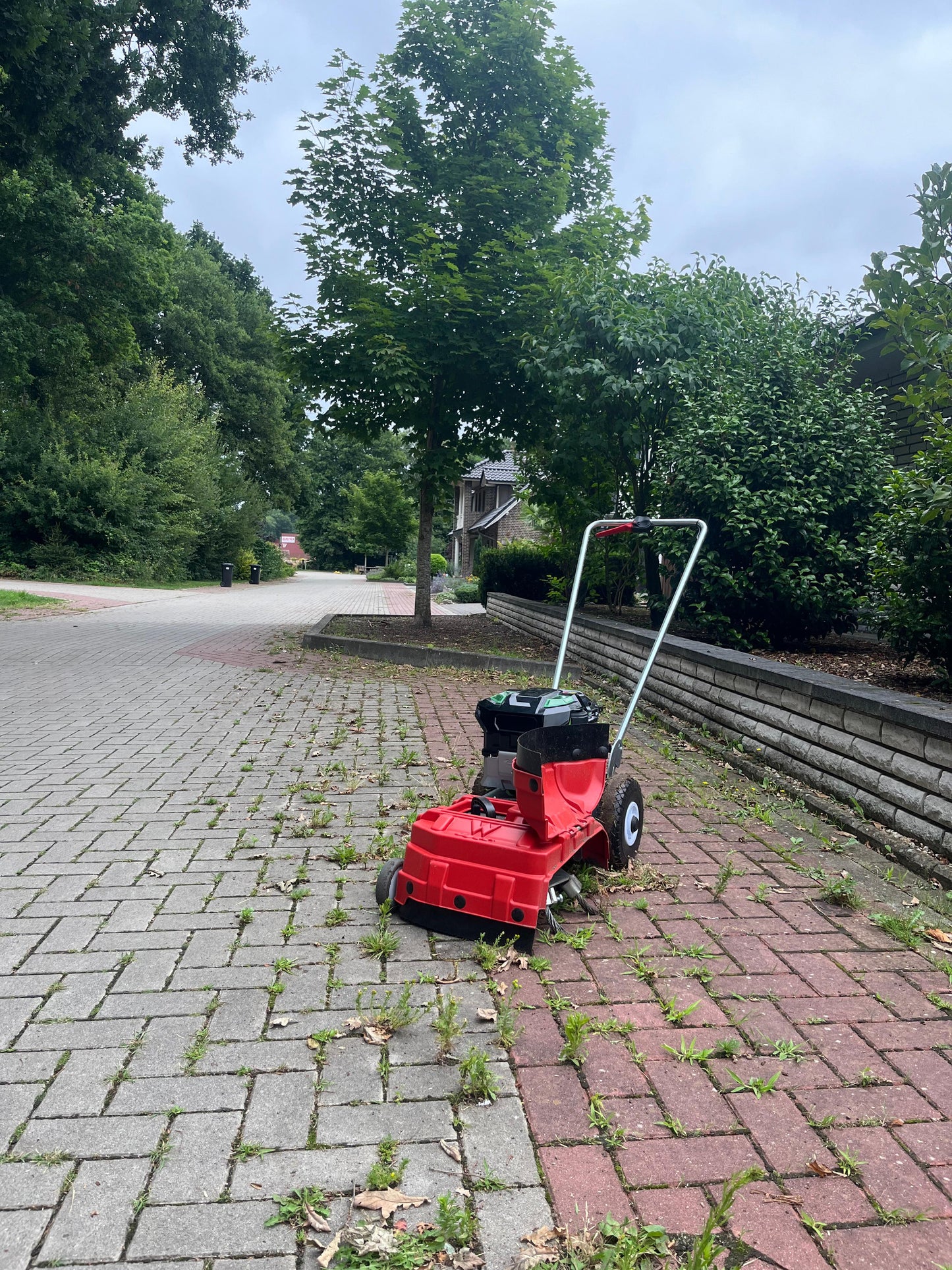 Westermann WKB 330 Weed Brush