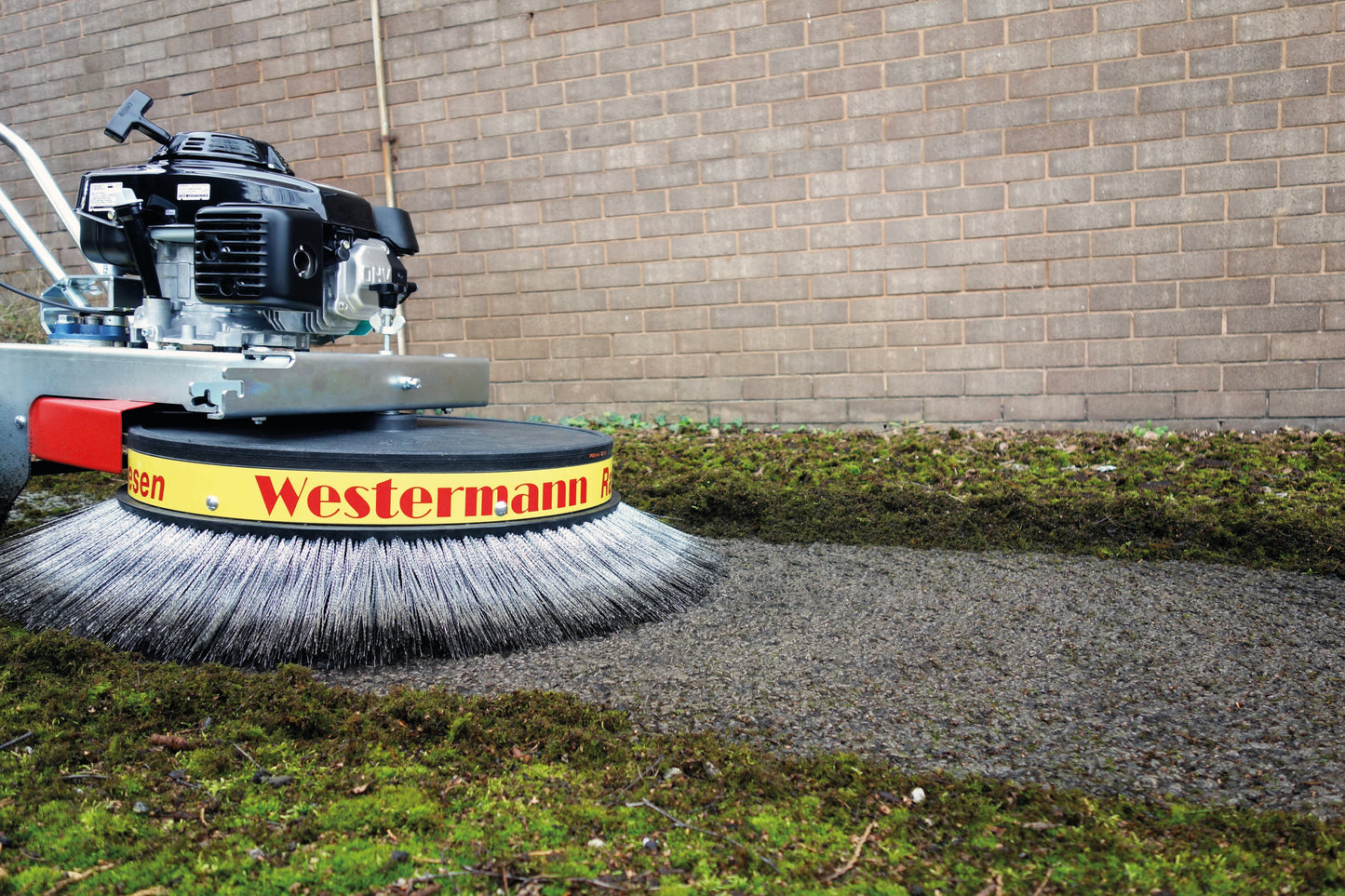 WR 870 Honda - GXV160 OHV technology - Wire Brush